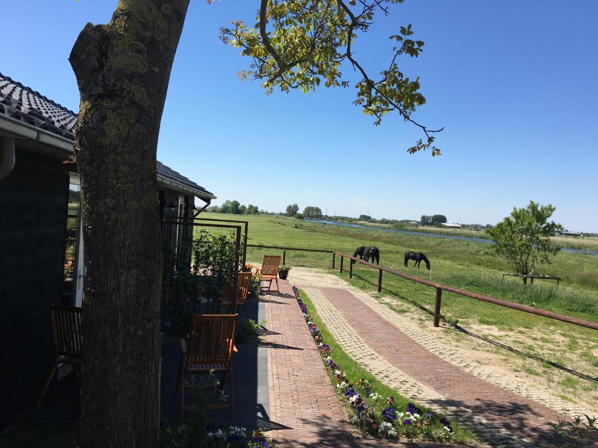 B&B De Donk Brandwijk Экстерьер фото